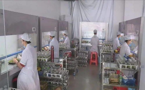 科技賦能品牌引領 東方市熱帶高效農業的高質量發展之路