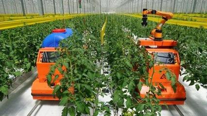 壽光建起國內最大單體8萬平米智能溫室,比荷蘭模式降低一半耗能