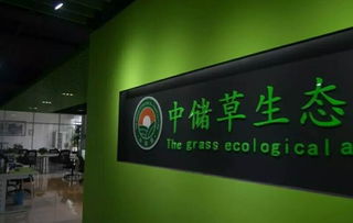 跨省交流促發展 江門市養豬協會赴河南考察農業科技研發