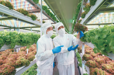 科技擦亮金名片 四維生態的數智植物工廠創新與實踐