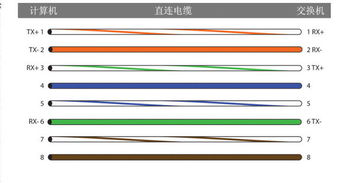 從客廳到臥室網線連接方案 實現兩臺電腦同時上網
